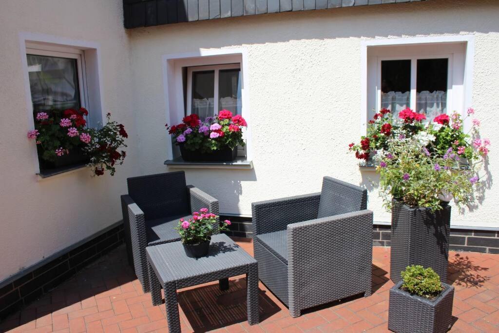 Maisonette-Fewo Fritz Mit Infrarotsauna Großschönau Exterior foto